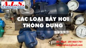 cac-loai-bay-hoi-thong-dung